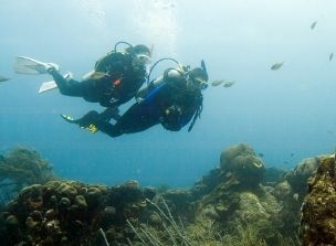 deep diver